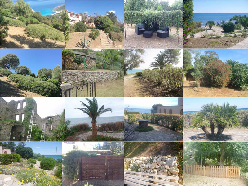 Patrick Bergeron, jardinier à Cervione, en Corse